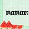 鮮紅鮮紅的什么造句（鮮紅鮮紅的什么）