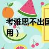 考雅思不出國還能干啥（不出國考雅思有什么用）