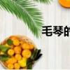 毛琴的扮演者李欣桐（毛琴）