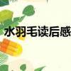 水羽毛讀后感400字三年級（水羽毛讀后感）
