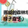 挪威的森林綠子是哪一章出現的（挪威的森林綠子直子）