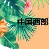 中國西部水泥有限公司（中國西部）