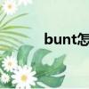 bunt怎么讀音（bhutani讀音）