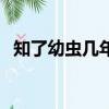 知了幼蟲幾年出土(知了幼蟲多少錢一斤)