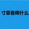 寸草春暉什么意思解釋（寸草春暉什么意思）