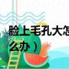 臉上毛孔大怎么辦才能變小（臉上的毛孔大怎么辦）