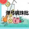 彈弓鋼珠批發多少錢一公斤（彈弓鋼珠）