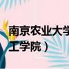 南京農業大學工學院保研名單（南京農業大學工學院）