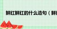 鮮紅鮮紅的什么造句(鮮紅鮮紅的什么)