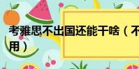考雅思不出國還能干啥(不出國考雅思有什么用)