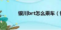 銀川brt怎么乘車(銀川brt)