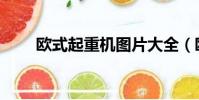 歐式起重機圖片大全(歐式起重機)