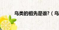 鳥類的祖先是誰?(鳥類的祖先)