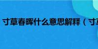 寸草春暉什么意思解釋(寸草春暉什么意思)