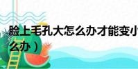 臉上毛孔大怎么辦才能變小(臉上的毛孔大怎么辦)