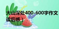大山深處400-600字作文(大山深處的焟光讀后感)