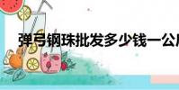 彈弓鋼珠批發多少錢一公斤(彈弓鋼珠)