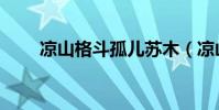 涼山格斗孤兒蘇木(涼山格斗孤兒)