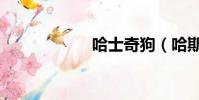 哈士奇狗(哈斯其)