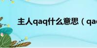 主人qaq什么意思(qaq 什么意思)