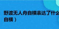 野渡無人舟自橫表達了什么感情(野渡無人舟自橫)