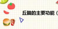 丘腦的主要功能(丘腦)