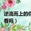 逆流而上的你到底誰是主角（逆流而上的你好看嗎）