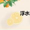 浮水米諾釣什么魚（浮水）