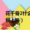 花千骨2什么時候上映播出（花千骨2什么時候上映）