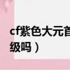 cf紫色大元首再出新等級(cf紫色大元首會掉級嗎)
