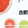 合肥聯寶科技（合肥聯寶）