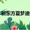 新東方夏夢迪婚紗照（新東方夏夢迪和張雯）