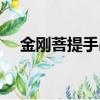 金剛菩提手串怎么清洗（金剛菩提手串）