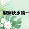 望穿秋水猜一生肖?（望穿秋褲是什么意思）