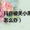 抖音被關小黑屋是怎么回事(抖音被關小黑屋怎么辦)