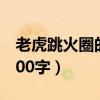 老虎跳火圈的簡筆畫(跳火圈的老虎讀后感400字)