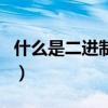 什么是二進制十進制十六進制(什么是二進制)