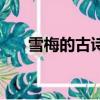 雪梅的古詩配畫怎么畫（雪梅的古詩）