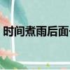時間煮雨后面一句是啥（時間煮雨什么意思）