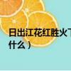 日出江花紅勝火下一句是啥（日出江花紅勝火的下一句詩是什么）