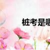 樁考是哪個車的考試項目（樁考）