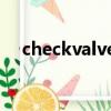 checkvalve什么意思(valve什么意思)