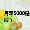 月薪5000是什么水平(月薪5000處于什么階層)