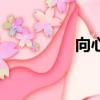 向心力的方向（向心力）