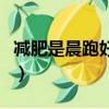 減肥是晨跑好還是夜跑好(晨跑好還是夜跑好)