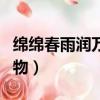 綿綿春雨潤萬物下一句是什么（綿綿春雨潤萬物）