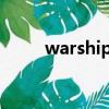 warships戰艦中文版(warship)