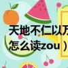 天地不仁以萬物為芻狗怎么讀(以萬物為芻狗怎么讀zou)