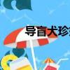 導盲犬珍妮尋親視頻（導盲犬珍妮）