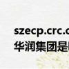 szecp.crc.com.cn華潤集團守正電子平臺(華潤集團是哪個家族的)